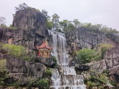 -金鸡山公园