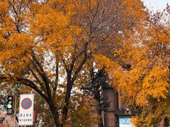 -天津五大道文化旅游区