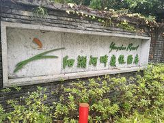 -广悦华阳朔河畔度假酒店(十里画廊遇龙河店)