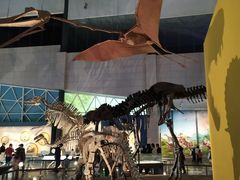 -湖南省地质博物馆