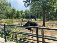 -大连森林动物园