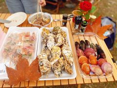 -共青国家森林公园-南大门停车场