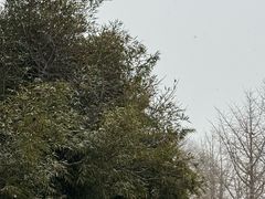 -添福来墨鱼饺子 · 海鲜东北菜(大连星海·黄浦路店)