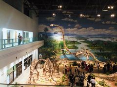 -自贡恐龙博物馆