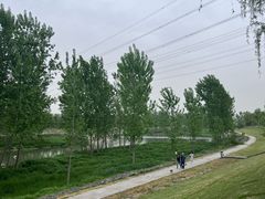-洨河生态公园