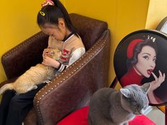 -猫咪咖啡店(新城大街店)