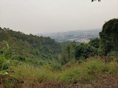 -火炉山森林公园