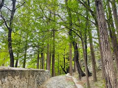 -阳台山自然风景区