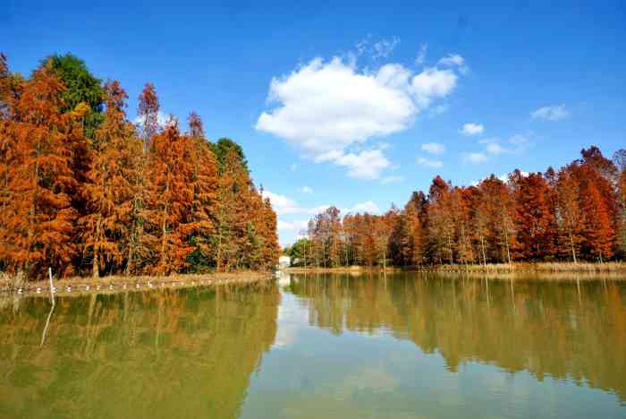 上海海灣國家森林公園