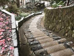 -莫干山风景区