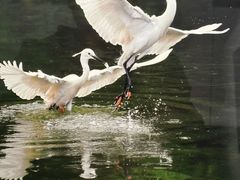 -江苏省美术馆(长江路新馆)