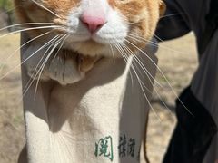 -昌顺马记小吃店(昌盛园店)