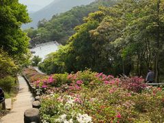 -梧桐山风景名胜区