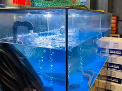 水产区-本炙炭烤·蒲烧活鳗料理店(金沙洲店)
