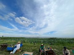 -七的湖·晚芳亭·阳澄湖农家菜·大闸蟹(莲花岛店)