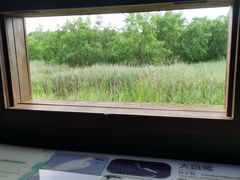 -华侨城湿地公园