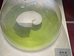 -青岛贝壳博物馆
