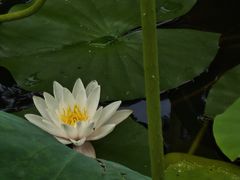 -莲湖公园
