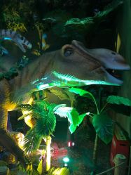 -恐龙探索乐园(磁器口店)