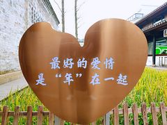 -慈城古县城景区