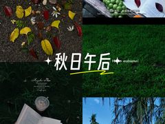-重庆彩云湖湿地公园