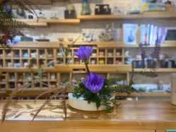 -今日陶艺(富力广场店)