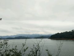 -广州市流溪河国家森林公园