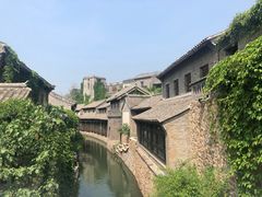 -古北烤梨