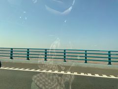 -星叶·东南亚料理(宁波万象汇店)