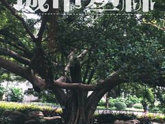 -晓港公园