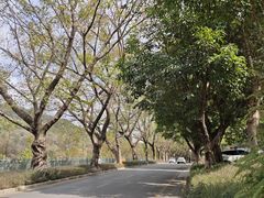 -南国桃园旅游度假区