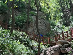 -大岭沟猕猴桃谷风景区