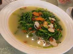 -广州建国酒店-盈丰阁粤菜-粤式茶点
