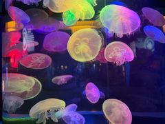 -中央电视塔旋转餐厅