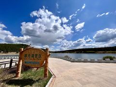 -红花尔基樟子松国家森林公园