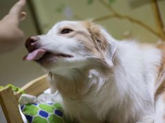 -KKV(重庆东原悦荟主力店)