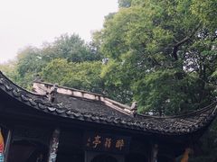 -新安江山水画廊风景区