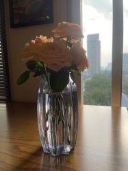 -FineYoga梵音瑜伽·普拉提