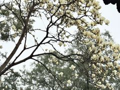 -湘子庙