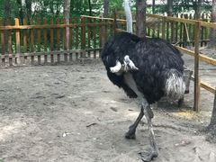 -吉林省自然博物馆