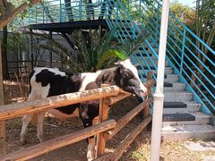 -海兰云天度假区温泉