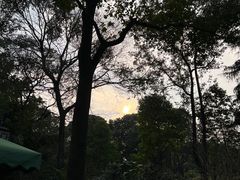 -望江楼公园