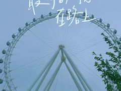 -日照海滨国家森林公园