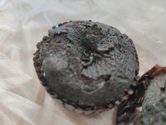 -百年义利(榴乡路店)