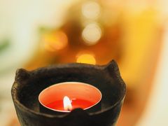 -叶叶菩提(太原别墅店)