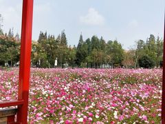 -歌斐颂巧克力小镇