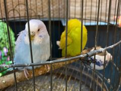 -九号温泉生活馆
