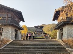-大唐贡茶院