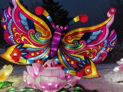 -沈阳奥体冰雪嘉年华