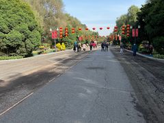 -北陵公园
